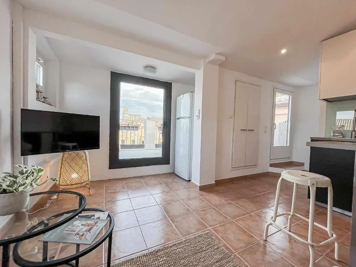 Romantic Duplex With Terrace And Great Views Girona 0*,